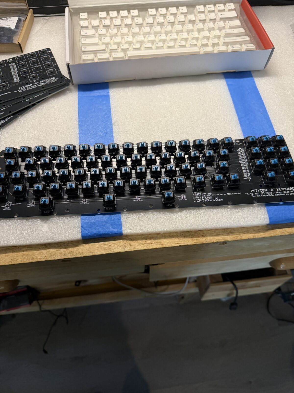 MX Blue switches and white keycaps for the PET replacement keyboard
